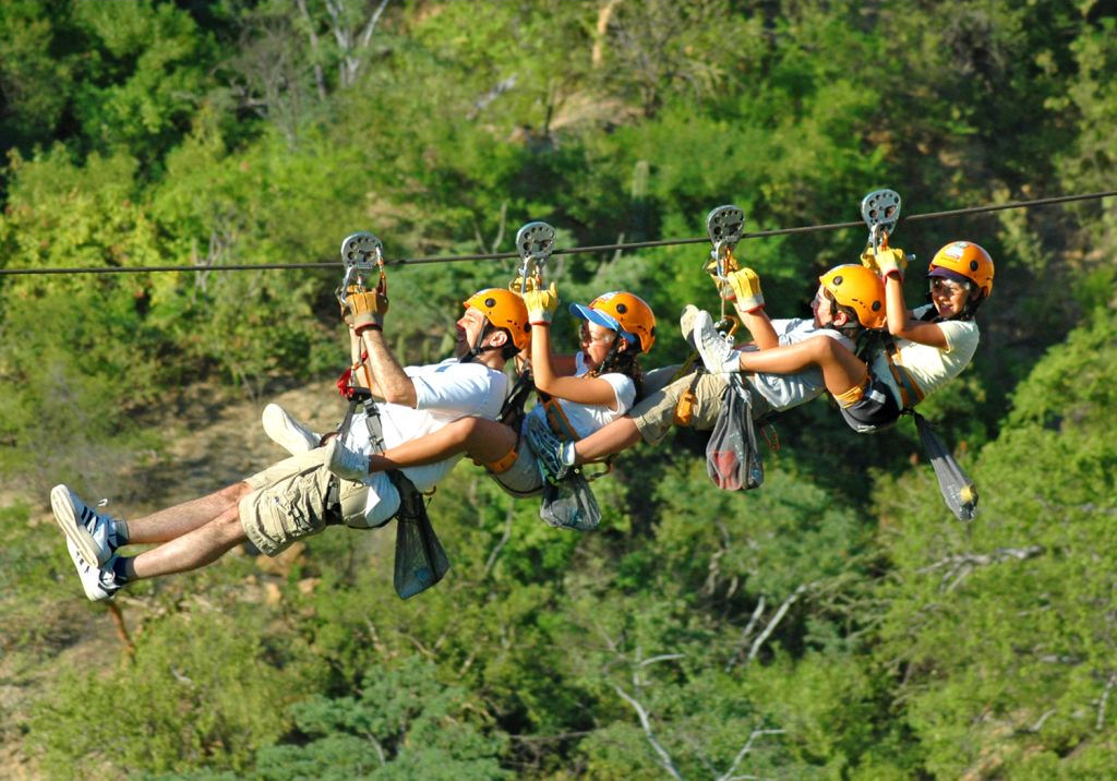 Monster Zip Lines